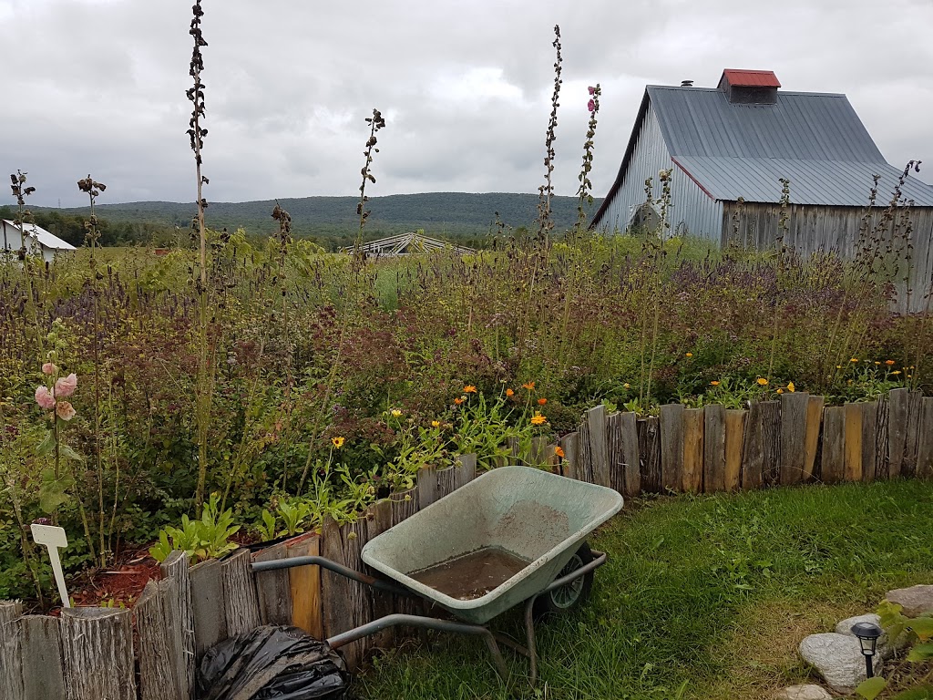 Farm City (Summer Farm) | 4260 Chemin Notre Dame, Saint-Augustin-de-Desmaures, QC G3A 1W8, Canada | Phone: (418) 878-9651