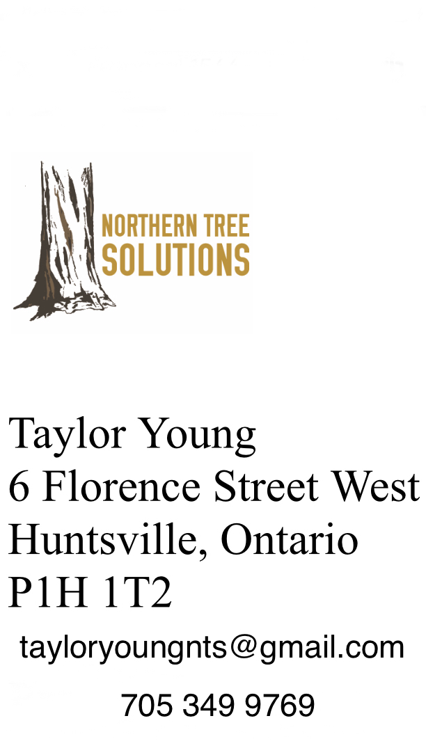 Taylor Young; Northern Tree Solutions INC. | 6 Florence St W, Huntsville, ON P1H 1T2, Canada | Phone: (705) 349-9769
