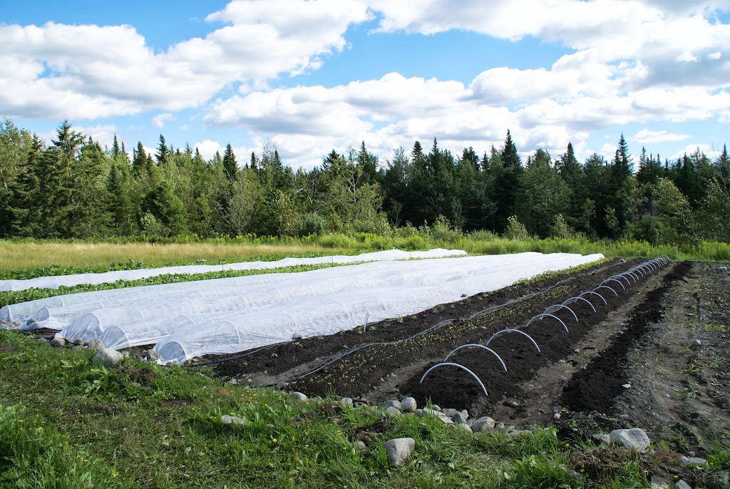 Les Jardins Étoilés | 8497 QC-204, Frontenac, QC G6B 2S1, Canada | Phone: (819) 554-8262