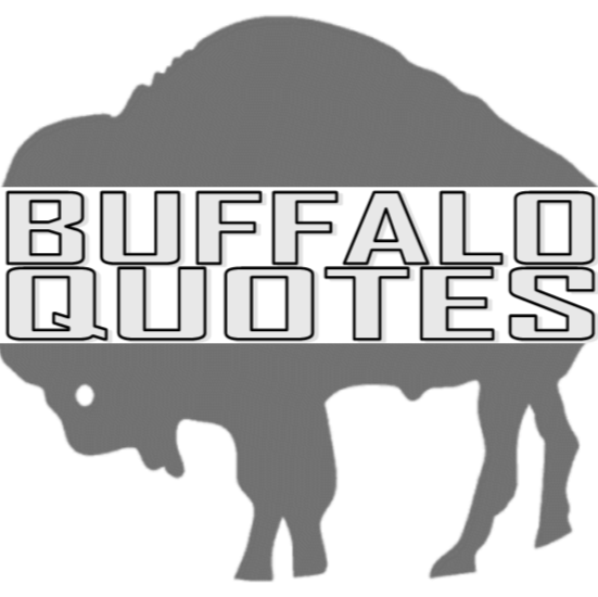 BuffaloQuotes.com | 8810 Main St, Buffalo, NY 14221, USA | Phone: (716) 683-4725