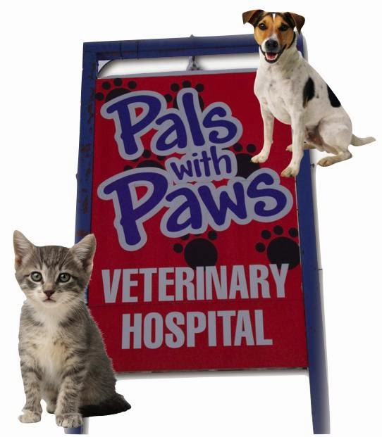 Pals With Paws Veterinary Hospital Inc | 2521 10 Ave SW, Salmon Arm, BC V1E 3J9, Canada | Phone: (250) 833-1800