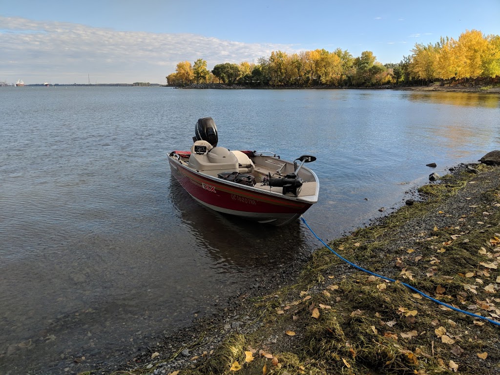 Parc Marie-Victorin | 701 Rue Pierre-Dupuy, Longueuil, QC J4K 1A1, Canada