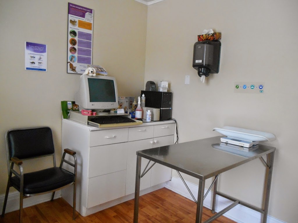 Wilson Street Veterinary Clinic | 134 Wilson St E, Ancaster, ON L9G 2B7, Canada | Phone: (905) 648-6200