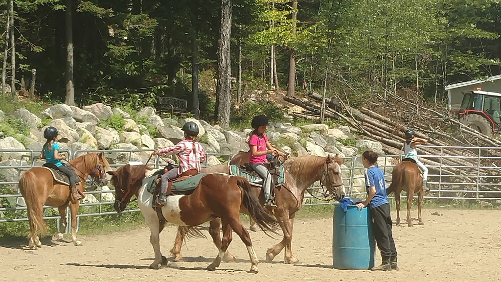 Domaine Léqui-Libre - Camp École Déquitation | 100 Chemin Wexford, Fossambault-sur-le-Lac, QC G3N 0M5, Canada | Phone: (418) 951-9002