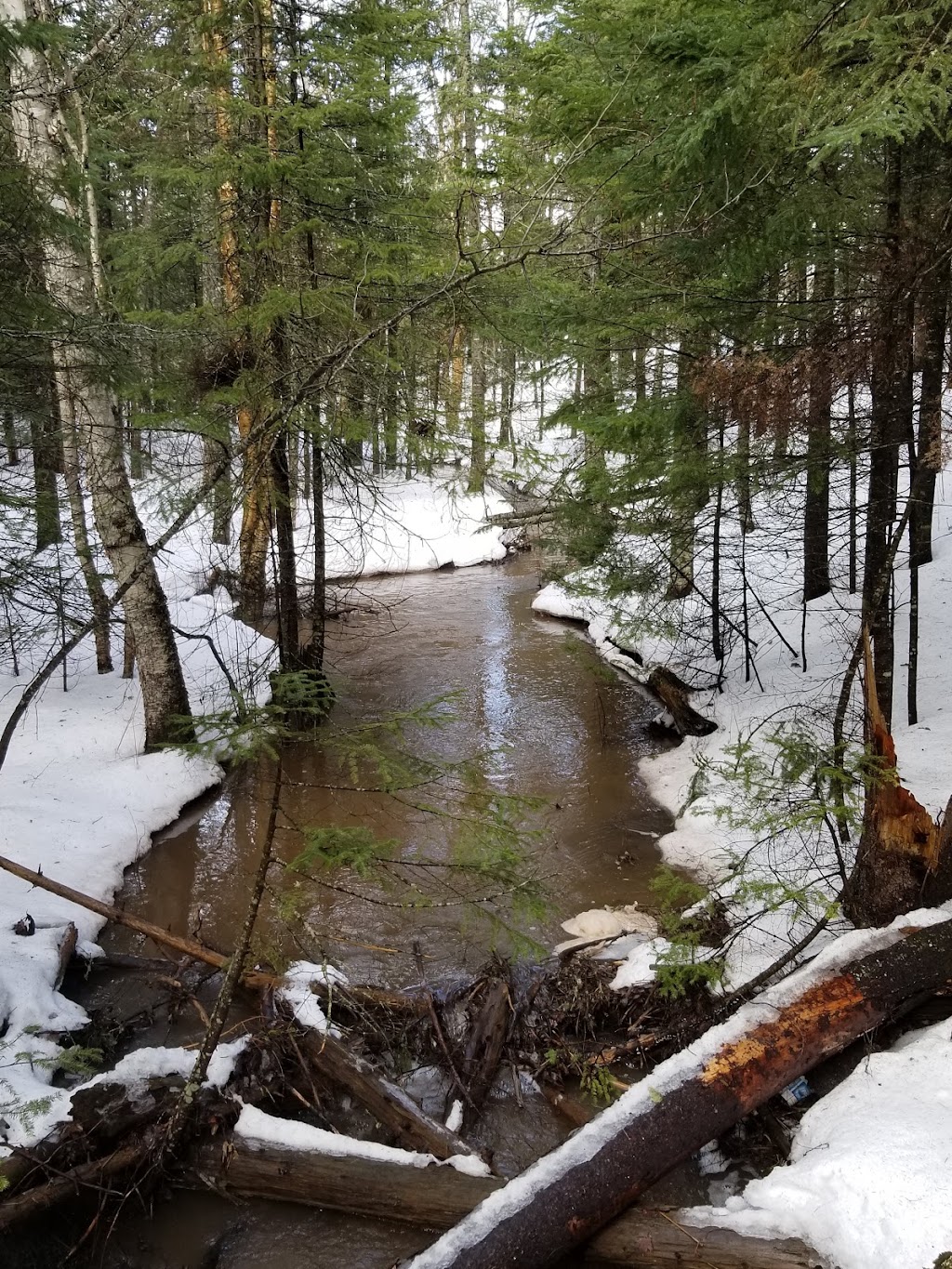 Mapleton Park Rotary Lodge | Camp Centennial | 600 Mapleton Rd, Moncton, NB E1G 0N3, Canada | Phone: (506) 853-3507