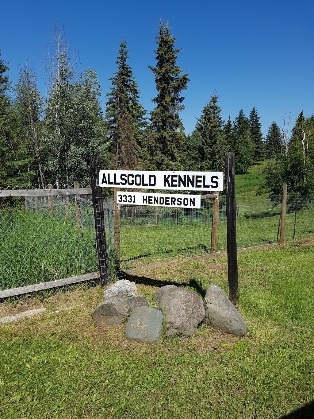 Allsgold Kennels | 3331 Henderson Rd, Pinantan Lake, BC V0E 3E1, Canada | Phone: (250) 573-5501