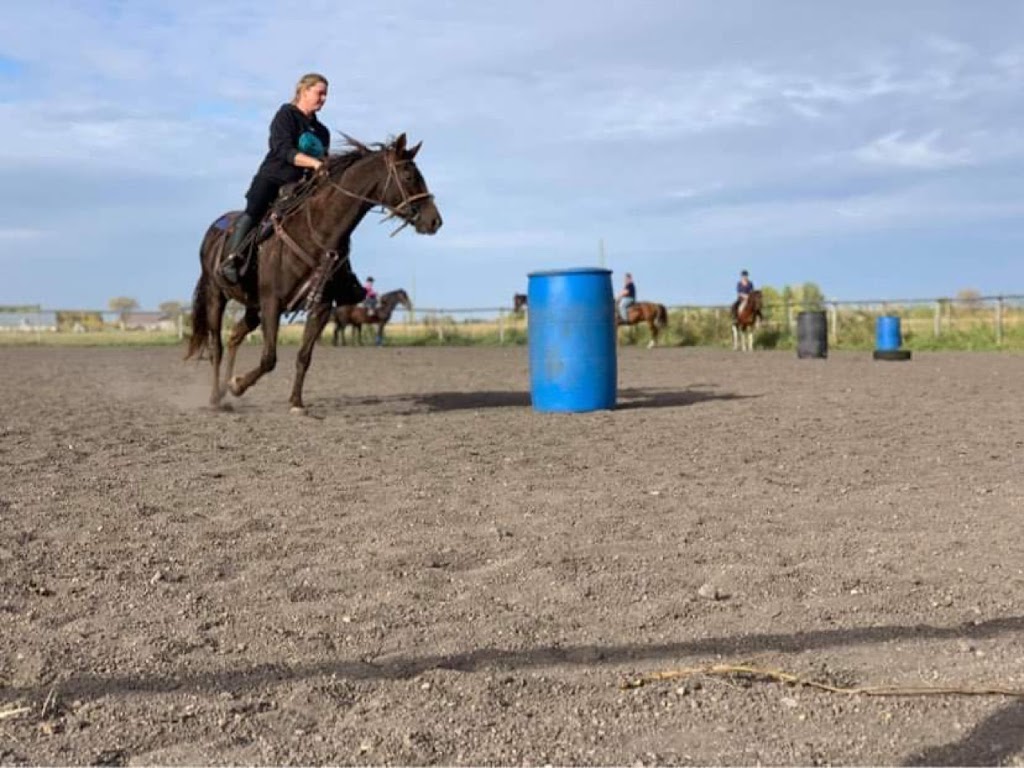 Sunrise Equestrian Centre | 59133 Hwy 12, Anola, MB R0E 0A0, Canada | Phone: (204) 805-7402