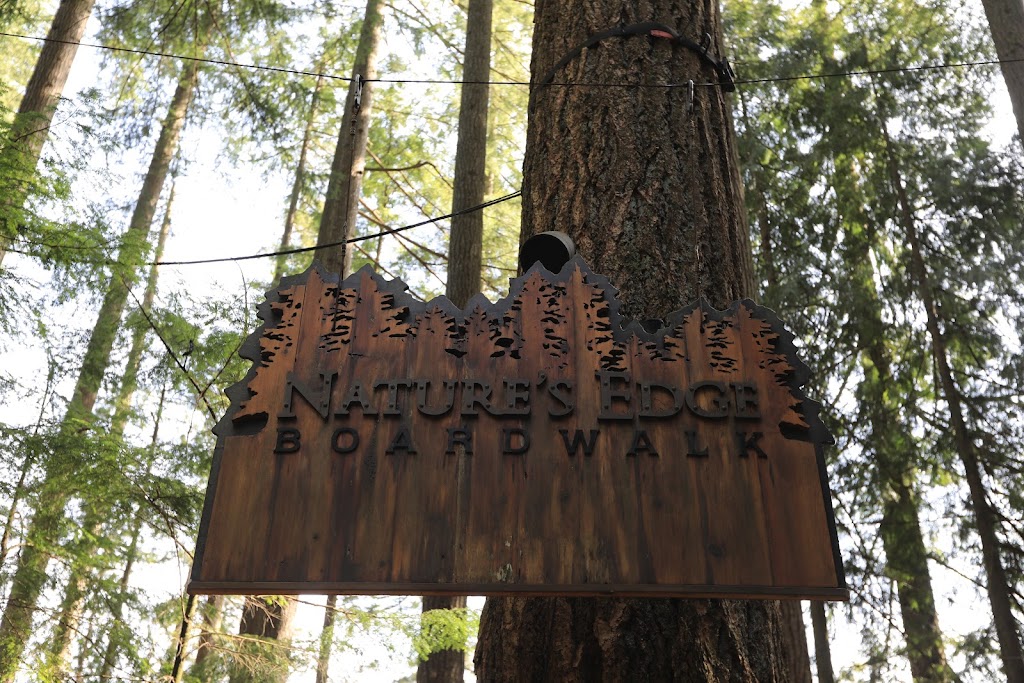 Capilano Suspension Bridge Park – Raptors Ridge | Unnamed Road, West Vancouver, BC V7S 1J5, Canada | Phone: (604) 985-7474