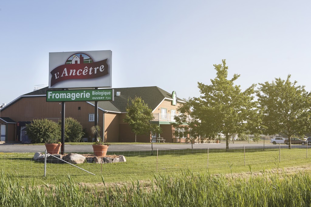 Fromagerie LAncêtre | 1615 Boulevard de Port Royal, Bécancour, QC G9H 1X7, Canada | Phone: (819) 233-9157