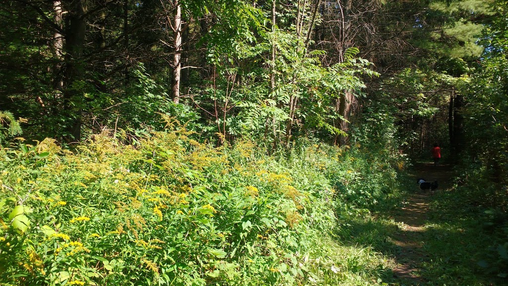 Bee Space @ the Kortright Centre | Woodbridge, Vaughan, ON L4L 1A6, Canada