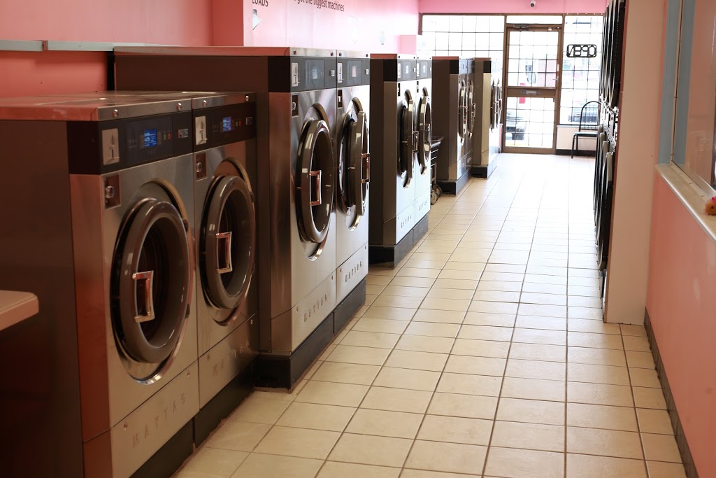 Laundry Sux! | 799 Park Rd S, Oshawa, ON L1J 4K1, Canada | Phone: (647) 667-6460