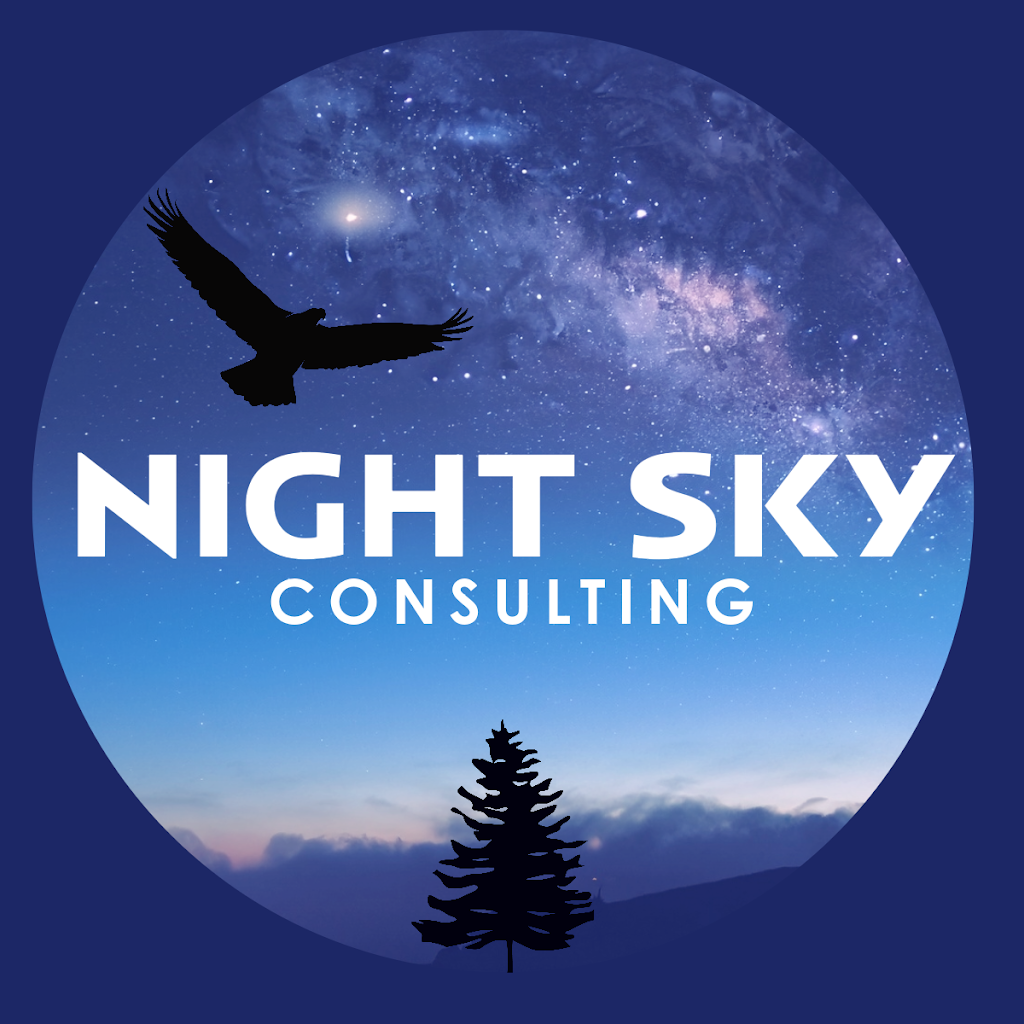 Night Sky Consulting | 3068 Richard Dr, Skownan, MB R0L 1Y0, Canada | Phone: (204) 461-8046