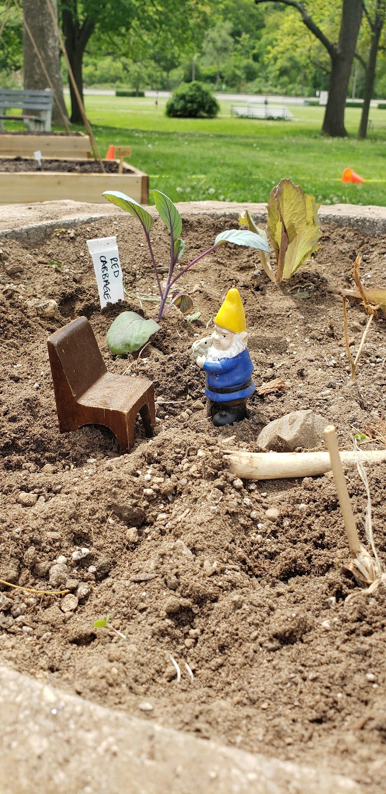 The Childrens Garden Project | 1000 Main St E, Hamilton, ON L8M 1N6, Canada | Phone: (289) 925-8612