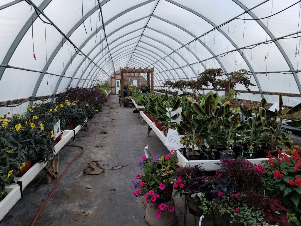 Davishill Nursery | 1258 Highway RR#2 #4, Walkerton, ON N0G 2V0, Canada | Phone: (519) 507-5050