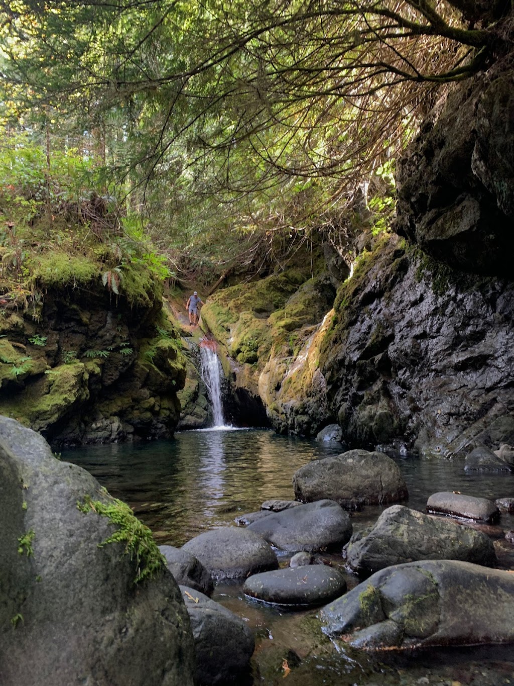 Fossli Provincial Park | Alberni-Clayoquot D, BC V0R 2B0, Canada | Phone: (250) 474-1336