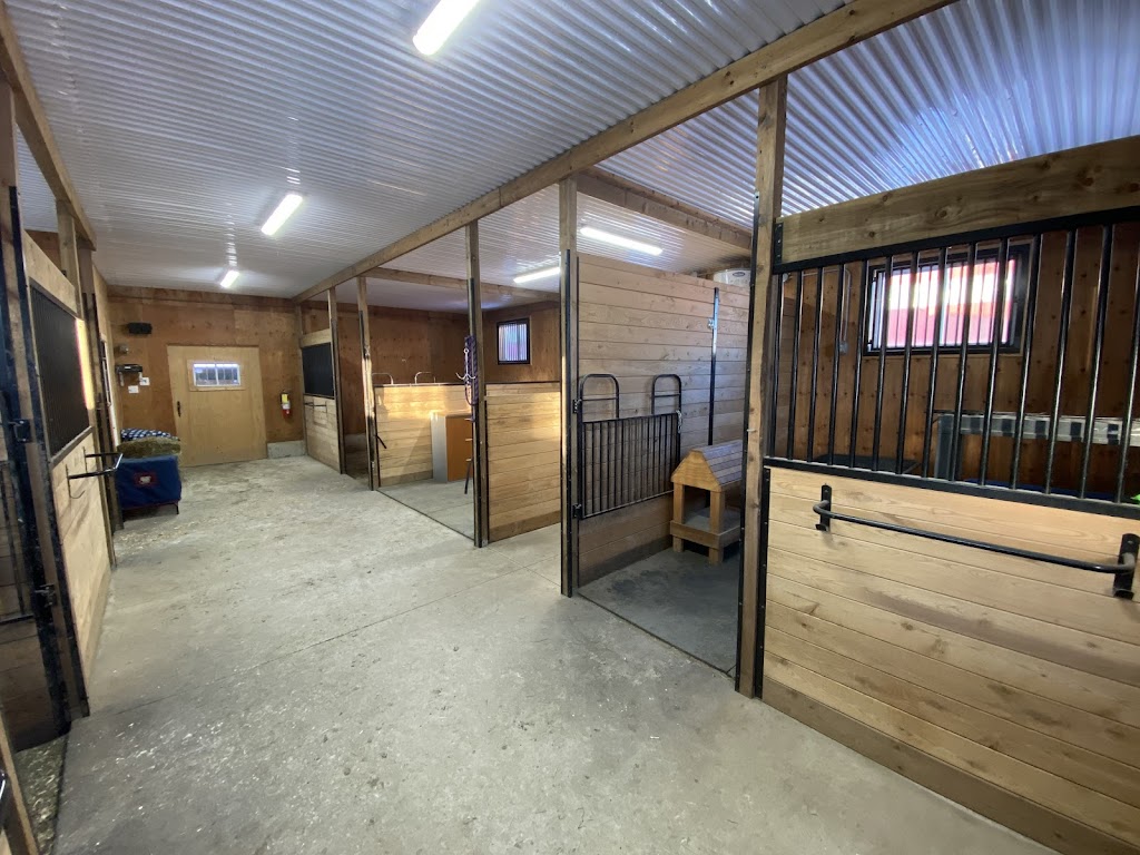 Wynbrook Equestrian Centre | 6222 Dunning Rd, Vars, ON K0A 3H0, Canada | Phone: (613) 371-5293