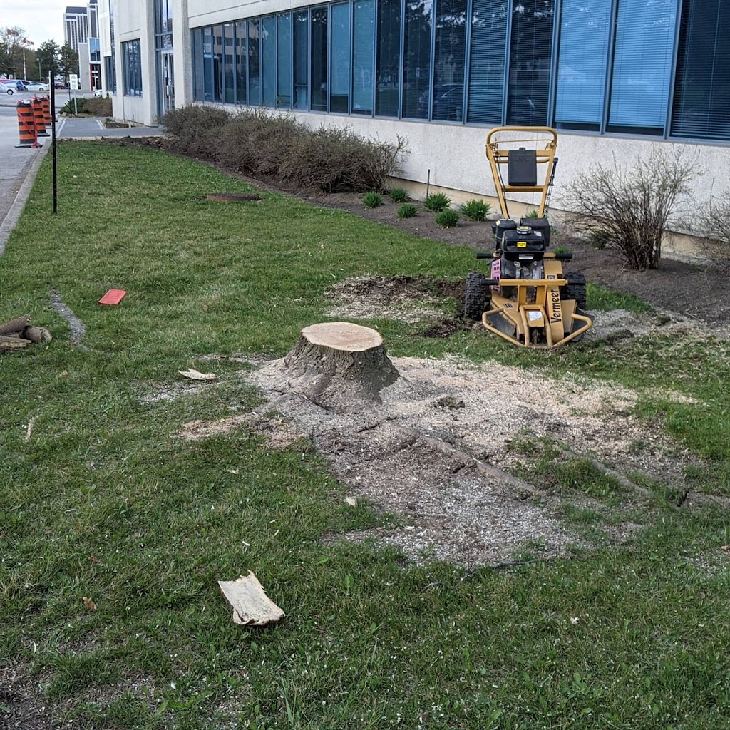 Caledon Stump Grinding | 18314 Humber Station Rd, Caledon, ON L7E 0Z5, Canada | Phone: (647) 295-0157