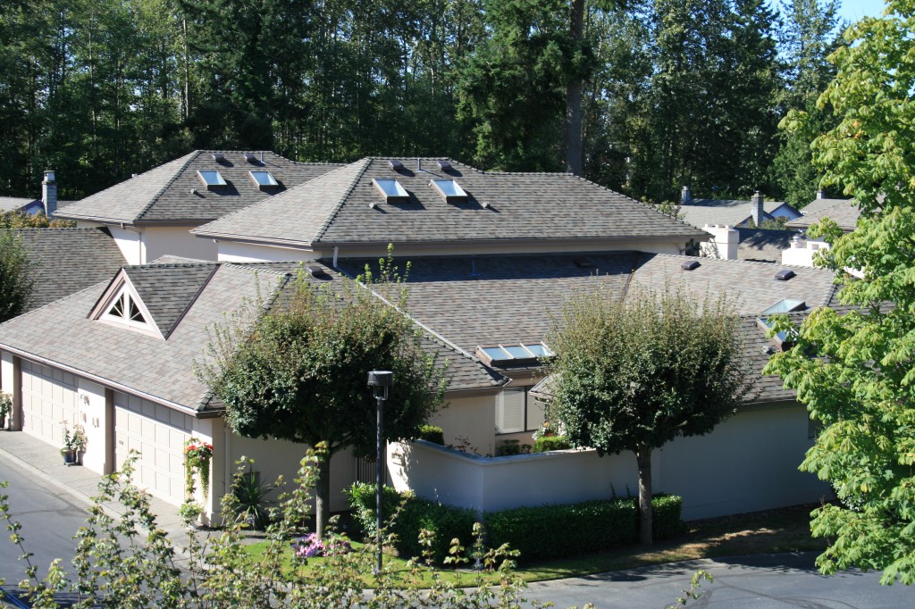 Adanac Roofing & Gutters | 22116 88 Ave, Langley City, BC V1M 3S8, Canada | Phone: (604) 888-1616