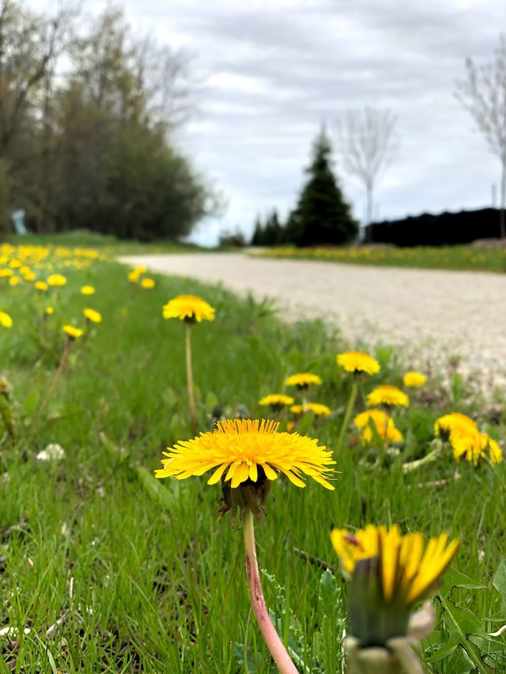 Mount Pleasant Recreational Trail | Brampton, ON L7A 0A7, Canada