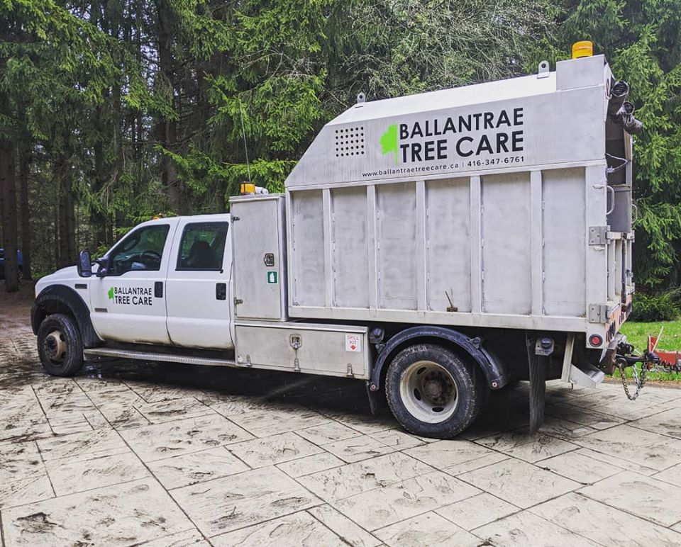 Ballantrae Tree Care | 5779 Aurora Rd, Whitchurch-Stouffville, ON L4A 7X4, Canada | Phone: (416) 347-6761