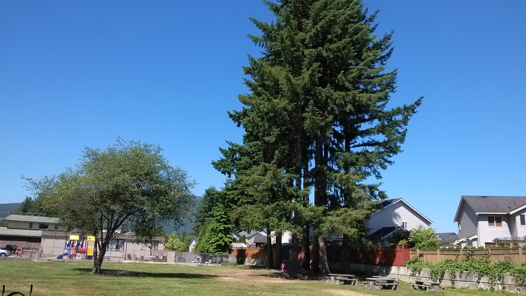 Cedar Drive Elementary | 3150 Cedar Dr, Port Coquitlam, BC V3B 3C3, Canada | Phone: (604) 941-3481