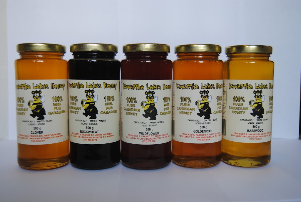 Kawartha Lakes Honey | 465 Colony Rd, Bobcaygeon, ON K0M 1A0, Canada | Phone: (705) 738-5374