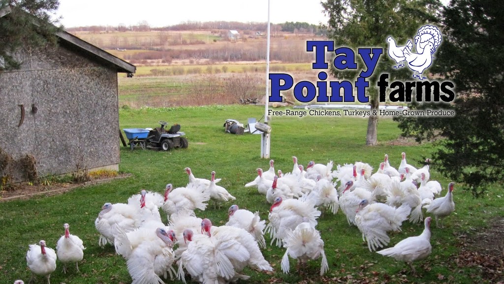 Tay Point Farms | 1349 Tay Point Rd, Penetanguishene, ON L9M 2C5, Canada | Phone: (705) 526-8423