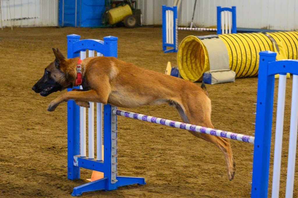 Fionavar K9 Training | Mountain View County, AB T0M 0K0, Canada | Phone: (403) 507-9832