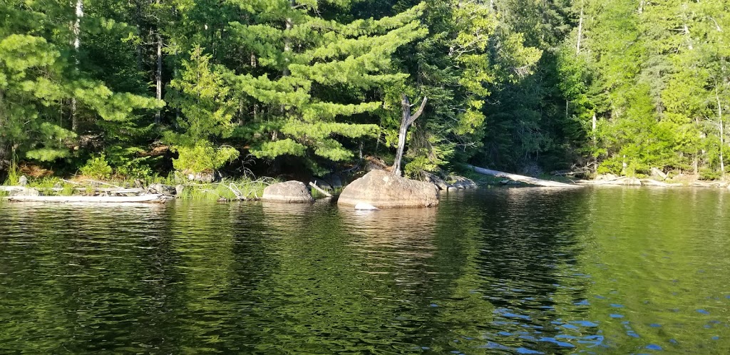 Pourvoirie Le Triolet | 650 Chemin du Poisson Blanc, Notre-Dame-du-Laus, QC J0X 2M0, Canada | Phone: (819) 767-2519