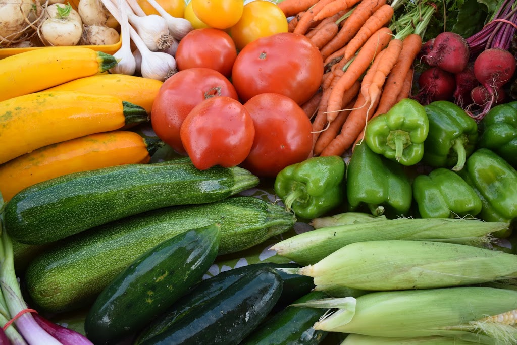 La ferme Aux Bio-Légumes | 123 Chemin Lawrence, Brigham, QC J2K 4Z8, Canada | Phone: (514) 775-9063