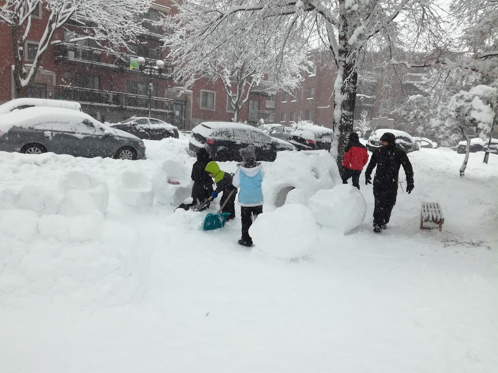 Parc Joseph-N.-Drapeau | Pl. Joseph-N. Drapeau, Montréal, QC H1X 3J1, Canada | Phone: (514) 872-0311