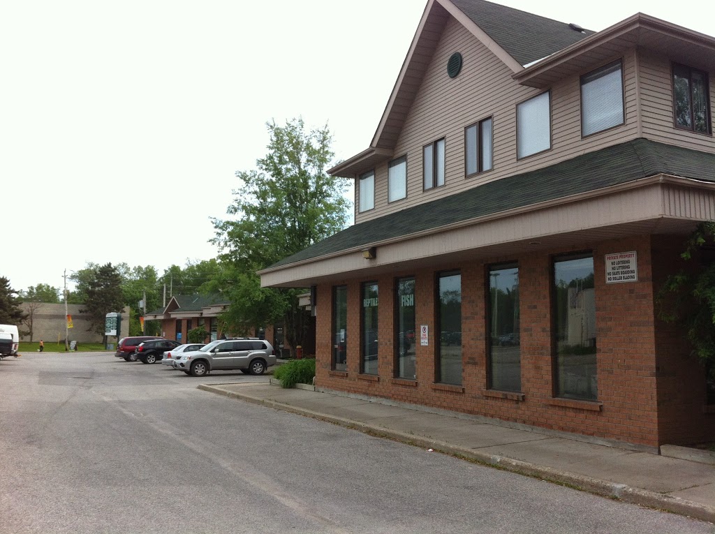 TEN Yoga Studio & More | 204 Simcoe Ave, Keswick, ON L4P 3S6, Canada | Phone: (905) 960-6525