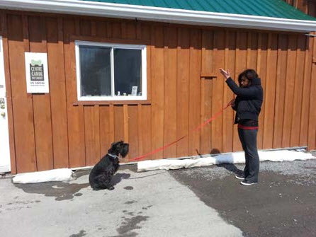 Dahan Canine Education Center | 407 Rue Dupont, Pincourt, QC J7V 5X2, Canada | Phone: (514) 779-2617