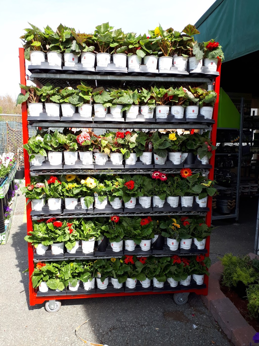 Superstore Garden Center | 745 Sackville Dr, Lower Sackville, NS B4E 2R2, Canada | Phone: (902) 864-2299