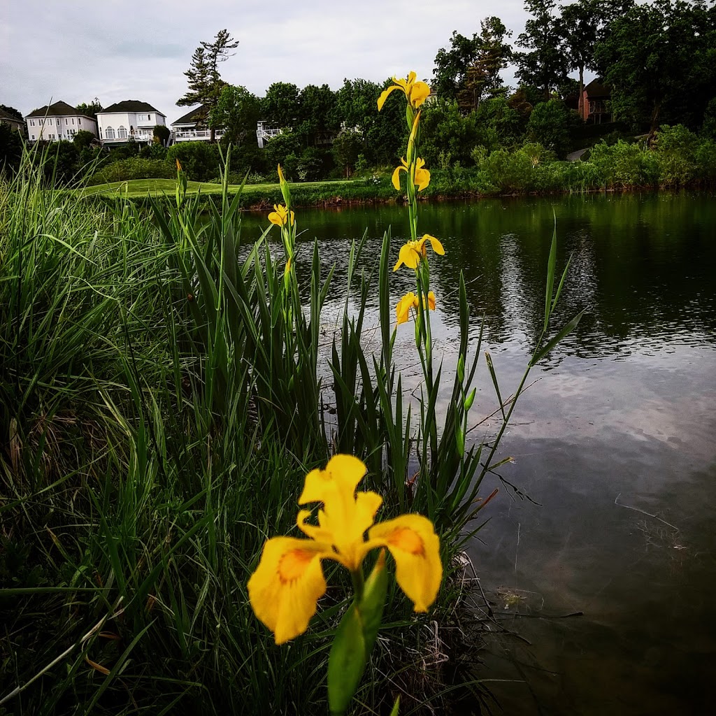 St. Andrews Valley Golf Club | 4 Pinnacle Trail, Aurora, ON L4G 3K3, Canada | Phone: (905) 727-7888