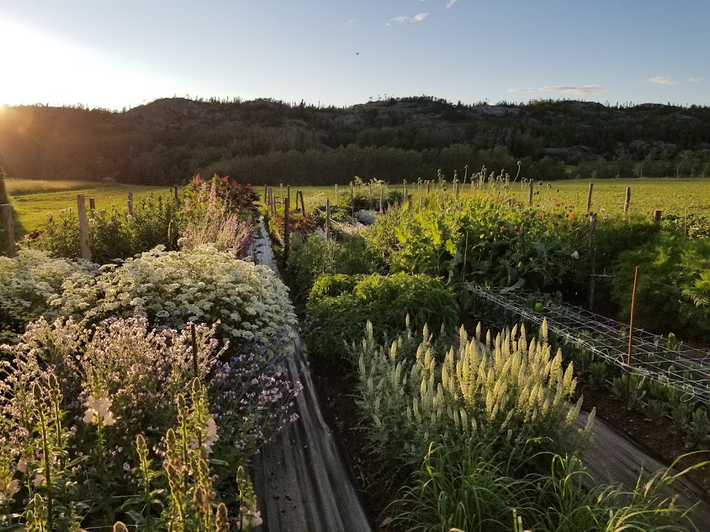 Les Luciennes - ferme florale | 23 Rte 132 E, Saint-André-de-Kamouraska, QC G0L 2H0, Canada | Phone: (418) 551-6351