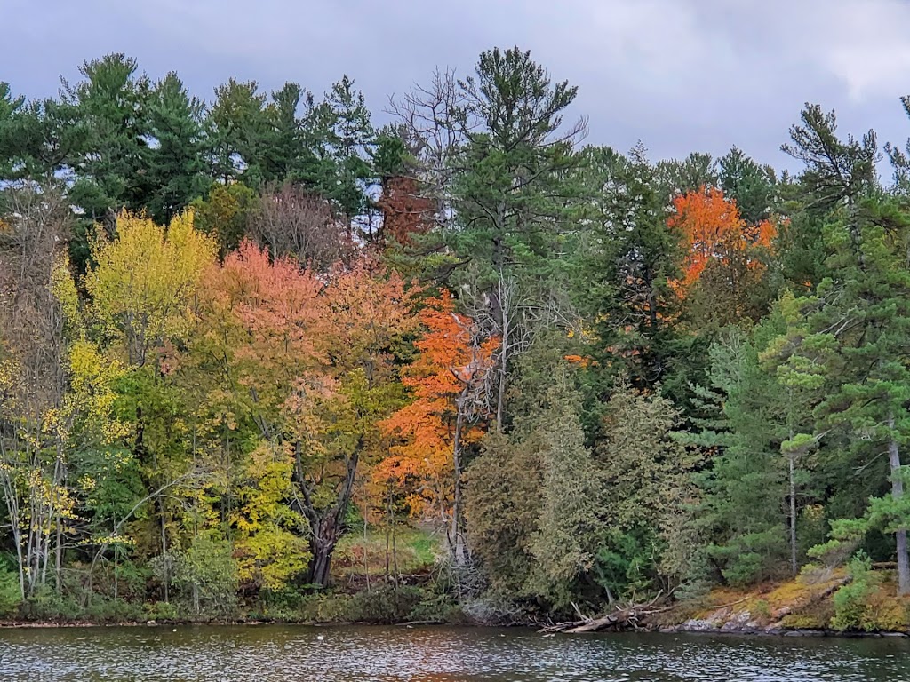 Rosseau Waterfront Park | Rosseau, ON P0C 1J0, Canada | Phone: (705) 732-4300