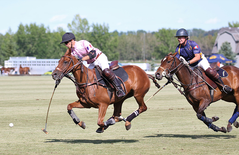 Calgary Polo Club | 24041 306 Ave W, Okotoks, AB T1S 1A2, Canada | Phone: (403) 938-0182