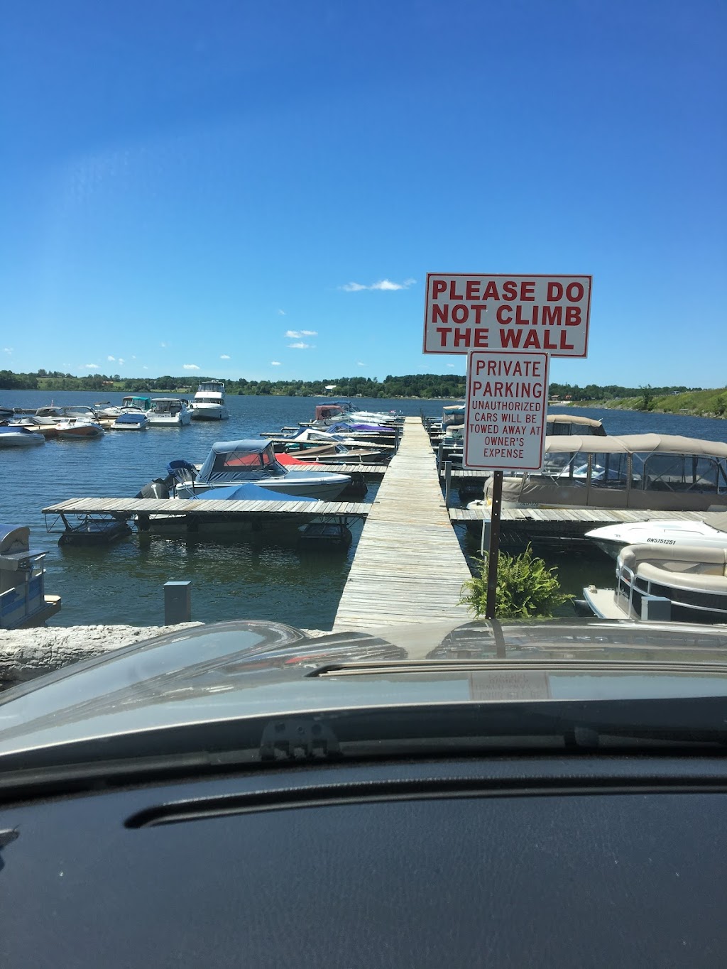 Chemong Shores Marina | 894 Garthorne Ave, Bridgenorth, ON K0L 1H0, Canada | Phone: (705) 292-5390