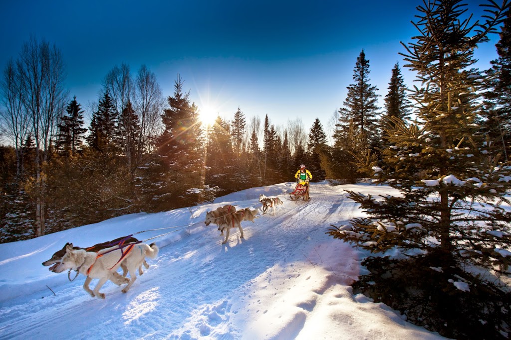 Kearney Dog Sled Races | 8 Main St, Kearney, ON P0A 1M0, Canada | Phone: (705) 636-7752