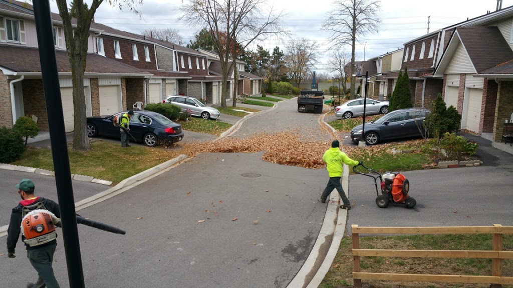 Silvas Landscaping & Snow Plowing | 502-1000 Cedarglen Gate, Mississauga, ON L5C 3Z5, Canada | Phone: (647) 284-0691