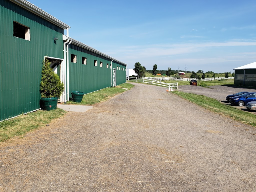 Iron Horse Equestrian Complex | 5244 Side Rd 1, Burlington, ON L7M 1T9, Canada | Phone: (289) 838-5768