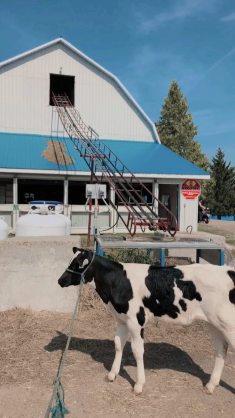 Ferme Séva inc. | 44 Rang Ste Marie, Les Éboulements, QC G0A 2M0, Canada | Phone: (418) 633-0266