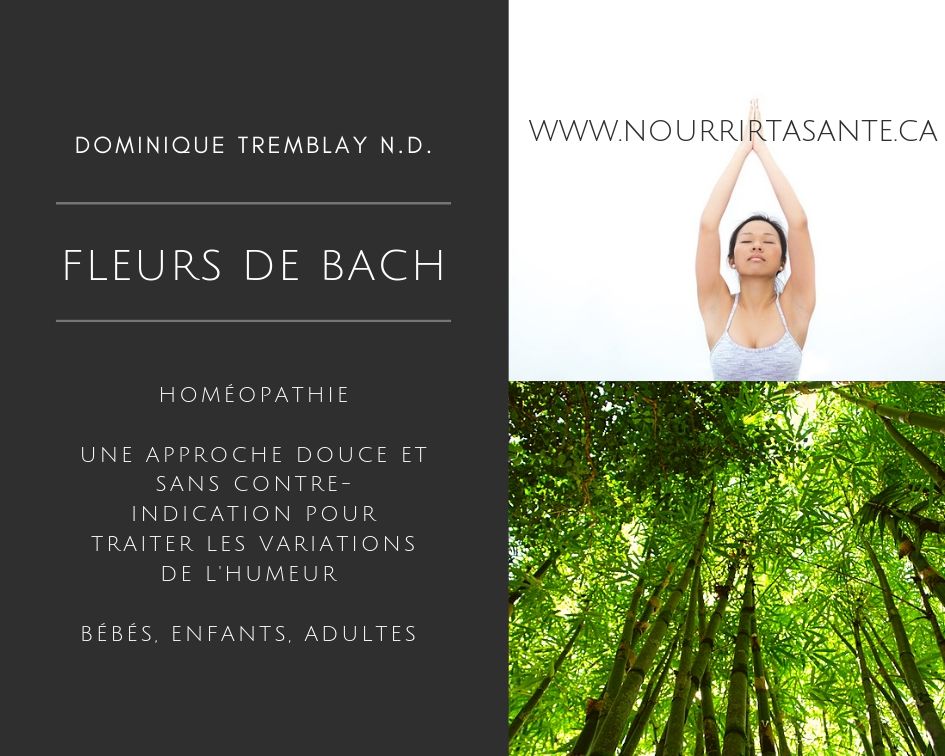 Dominique Tremblay Naturopathe N.D. (Clinique Orientation Santé) | 1287 Av. Maguire, Québec, QC G1T 1Z2, Canada | Phone: (418) 321-2429