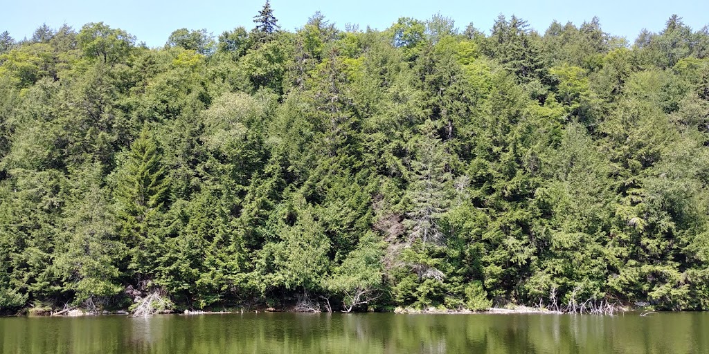 Chalet de la Bécasse | Montpellier, QC J0V 1M0, Canada