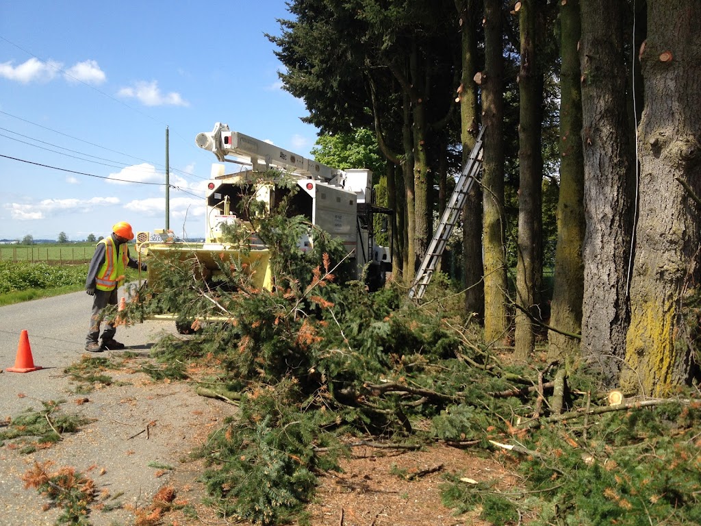 Mid Valley Tree Services Ltd | 696 Columbia St, Abbotsford, BC V2T 5X6, Canada | Phone: (604) 791-8733