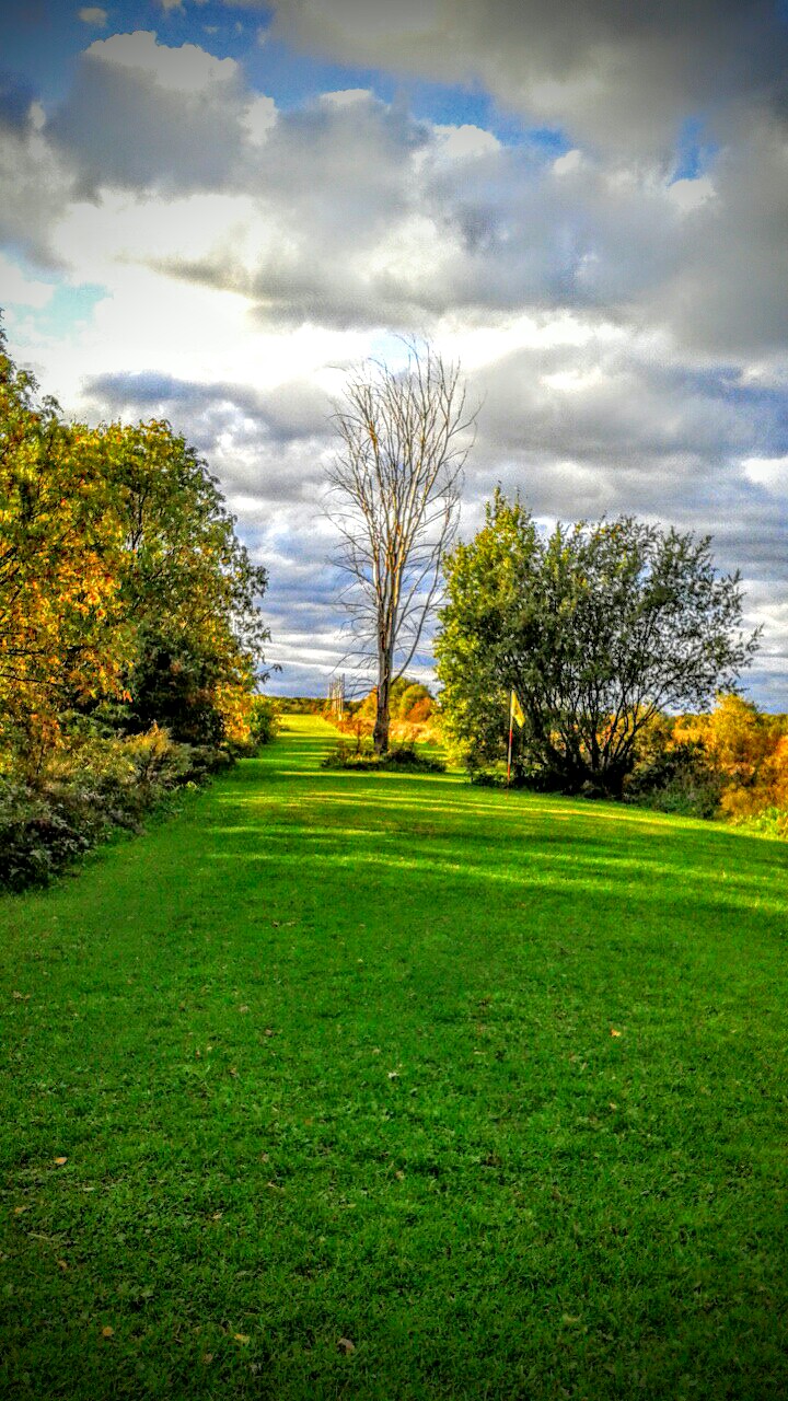 Golf les écureuils champ de pratique | 1283 Rte 138 Ouest 1-418-932-1114, Donnacona, QC G3M 1C7, Canada | Phone: (418) 932-1114