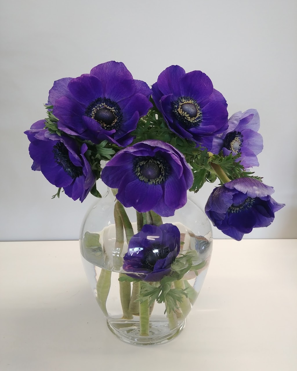 Sandra Miller Floral Designs | 47 Clark Rd Unit 8, Rothesay, NB E2E 2K9, Canada | Phone: (506) 849-2200