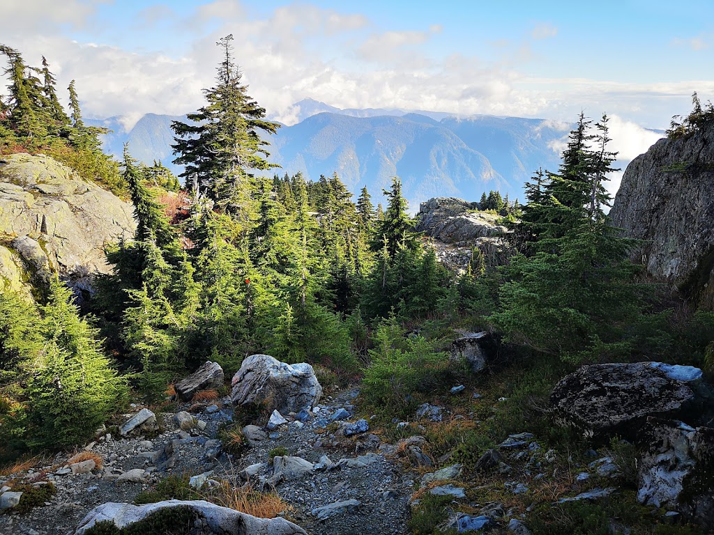 Mount Seymour Provincial Park | Mt Seymour Rd, North Vancouver, BC V7G 1L3, Canada | Phone: (604) 986-9371