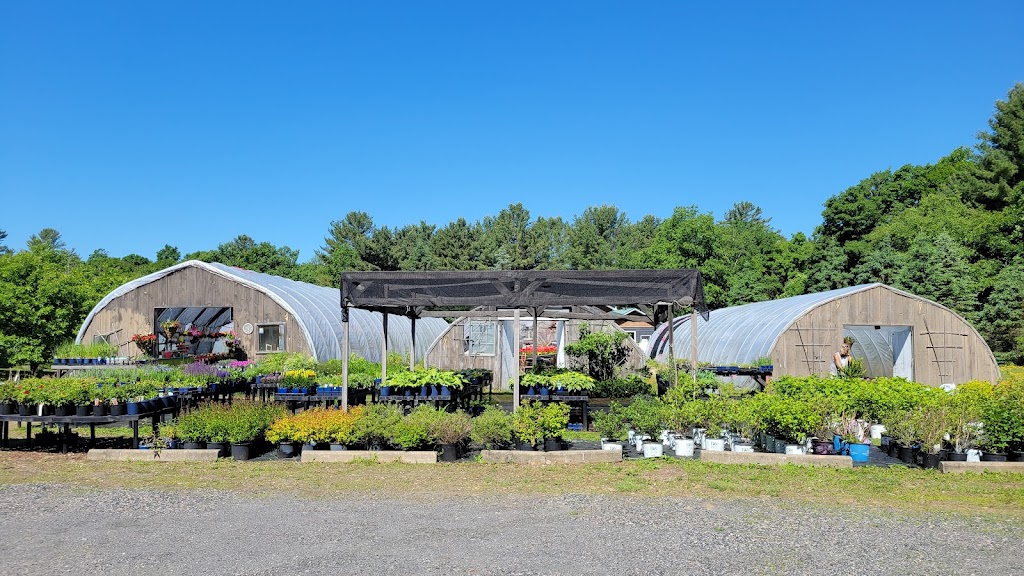 Hummingbird Gardens Garden Centre | Seguin, ON P0G, Canada | Phone: (705) 732-1277